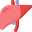 liver-icon